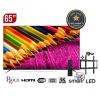 Smart TV ROCH 65 pouces RH-LE65DA-B 4K UHD – Image ultra haute définition et support mural offert